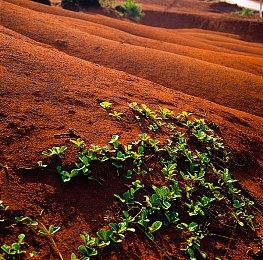 H2 Interactive《决胜点：网球冠军赛》PS4＆PS5 繁体中文版今日正式发售